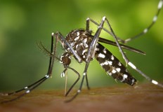 Пациентът е пристигнал в Москва от Шри ЛанкаРуските здравни власти