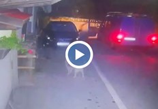 Очевидците потвърдиха че животното не е провокирало жестокостта39 годишният мъж задържан