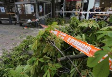 Детето е с леки драскотини по лицето очевидци критикуват лошото