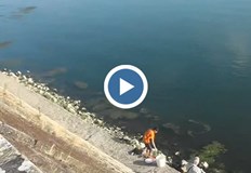 По Дунав риболовът е по специфиченРека Дунав край Оряхово отбеляза спад