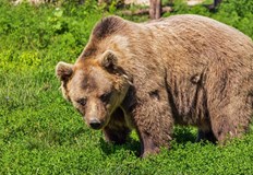 Пострадалият е с рана на ръката и е настанен в