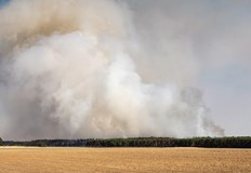 Учените настояват за преоценка на риска от фини прахови частициДимът