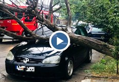 Дърветата падат върху хора и автомобили двама каякари се удавиха