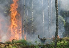 Пламъците обхващат района на село Главаци от двете страни на