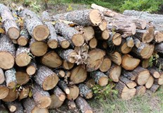 НСИ отчете намаление със 7 5 процента през второто тримесечие на