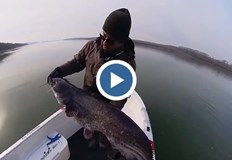 Теодор Тодоров обясни че сомове шарани и бели риби над