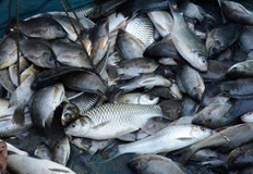 Проверяват винарски комплекс в село Старосел за възможно замърсяванеЕкип на