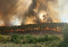 34 пожара обхванаха територията на ЮИДП през юли човешката небрежност