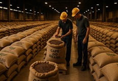 Кафето арабика поскъпна с над 30 през август заради 50 ните