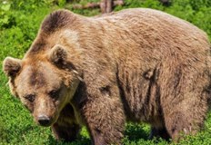 Директорът на екоинспекцията призовава за проверка на информацията преди споделяне