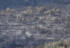 На този етап пожарът няма да се обявява за потушенНяма