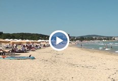 Това е третият случай за три дни по Южното ЧерномориеМъртъвделфин