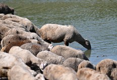 Конфликтна среща без резултат големите ферми се страхуват от