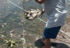 Инспекторите хванаха нарушители по реките Искър Дунав и Огоста при