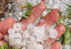 Населени места в Нови пазар Шумен и Хитрино остават без