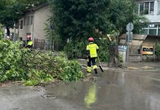 Две момчета се разминаха по чудо с трагедия няма пострадали