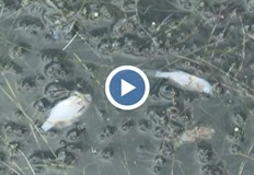 Нивото на водата в язовира е паднало драстичноЯзовир Батак е