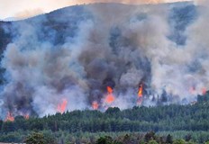 Село Доситеево е спасено но южният фронт на огъня заплашва