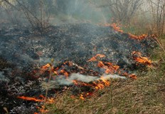 Изгорели са 50 декара сухи треви в покрайнините на село