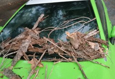 Клон проби предното стъкло на колата му откъм шофьорското място