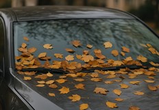 Практични съвети за шофьорите преди настъпването на новия сезонЕсента носи