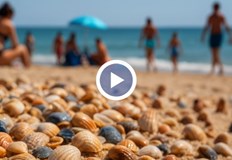 Българите спазват правилата в чужбина но чуждестранните туристи у нас