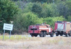Огънят засегна ниви пасища и гора29 годишен криминално проявен мъж е