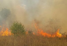 Горяха сухи треви и храсти на разклона на бул България