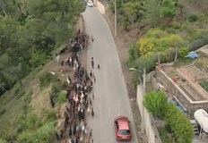 Стада от 300 животни пасат из испанските градове като част