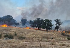 Огънят край село Момино обхвана 1000 декара горски площи и