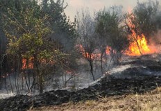 Над 60 пожарникари се борят с огъня между селата Доситеево