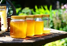 Лоши климатични условия удариха производството на мед в БългарияЦената на