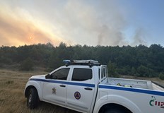 Над 60 човека се борят с новите пламъци над село