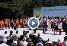 Над 6000 участници от цялата страна се представят на тринадесетото