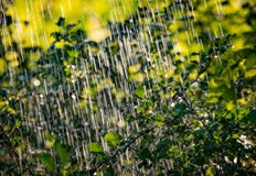 Гръмотевици и градушки връхлитат България утреВ петък 22 август студен