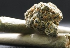 Стойността на намерената дрога е близо 1 милион леваБлизо 50