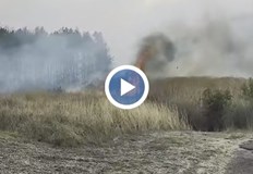 Пожар горя близо до домовете на хората в гълъбовското селоПожарът