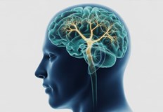 Нова математическа теория обяснява защо помним историите а не дословните