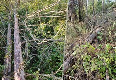 Бурята с ветрове над 90 км ч остави помпената станция без