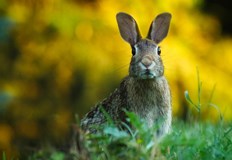 Инвестицията надхвърля 16 хиляди лева до септември ще пуснат още