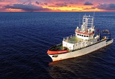 Министерският съвет одобри изследване на фитотоксините в Черно мореМинистерският съвет