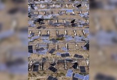 Пожарната получи над 200 обаждания за 12 часаСилни бури удариха