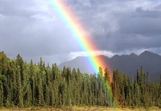 Дъжд и гръмотевици се очакват в крайните северозападни райониСлънчево време