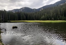 Пловдивски подводен клуб и учени се борят да запазят уникалната