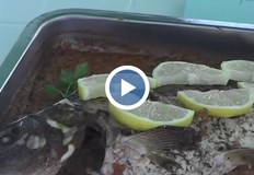 Амурът беше в центъра на 11 ото издание а Hell s Kitchen