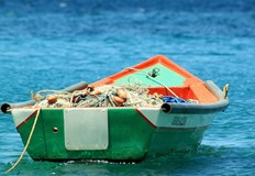 Морската гореща вълна Петното унищожи екосистемите в Тихия океан за