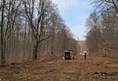 Компанията маркира над 36 000 опасни дървета и отчете над