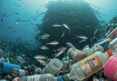 Представители от над 160 държави се събират в Женева за