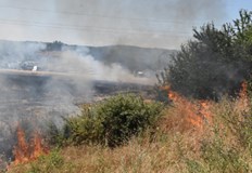Огънят обхвана сухи треви и селскостопански постройкиОт Областната дирекция на