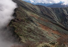 Сигналът за инцидента е подаден вчера по обядМлад мъж на